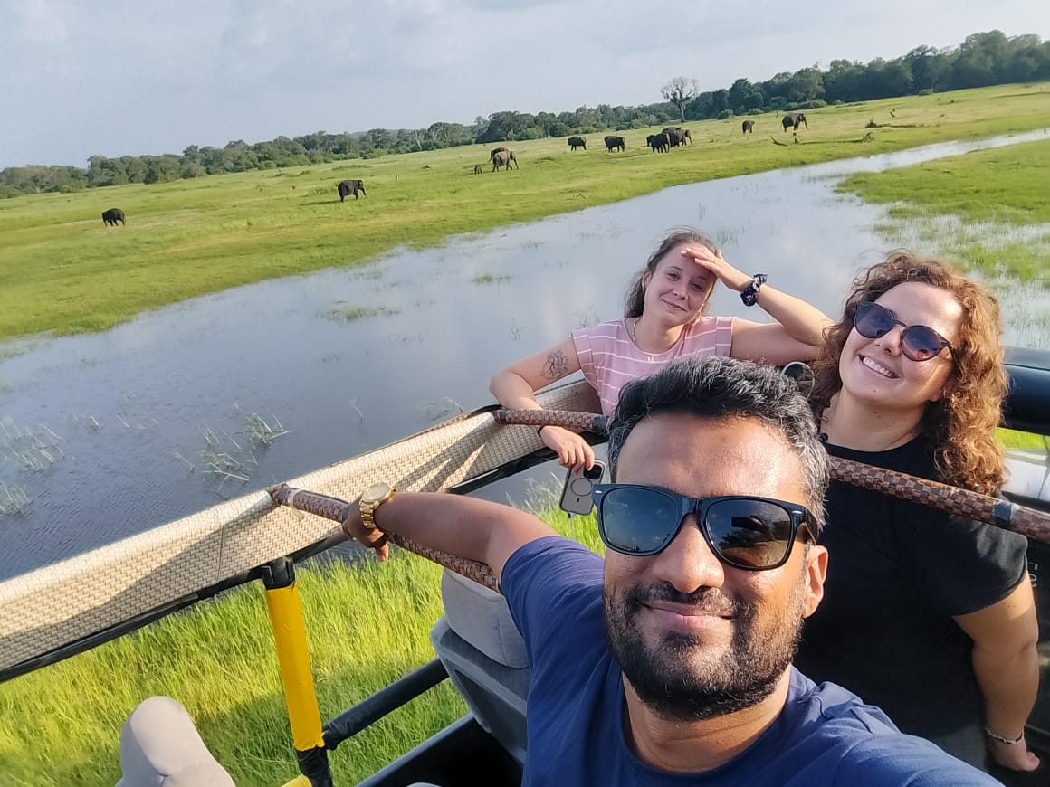 Elephants