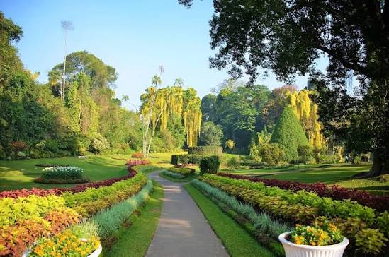Royal Botanical Gardens, Peradeniya